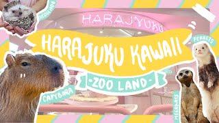 UNIQUE animal cafe in Harajuku  HARAJUKU KAWAII ZOO LAND   Real life CAPYBARA and MEERKAT 