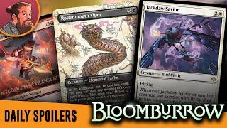 Combo Crow Stormy Otter and More  Bloomburrow MTG Spoilers