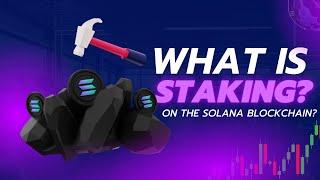 Understanding Staking on Solana Easy Info