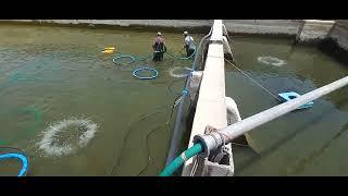 جارو برقی استخر ماهی pool vacuum cleaner