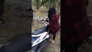 Ketauan Pasangan Hijab Mesum Di Kebun Sawit Bareng pacar