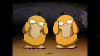 Psyduck vs Psyduck