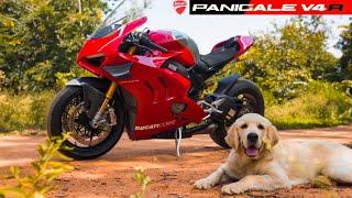 DUCATI PANIGALE V4R  BIKERS EDITION  DC DAYS