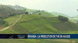 Rwanda the growing tea sector Business Africa