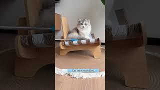 Cat hammock bed #cat #petkit #petsupplies