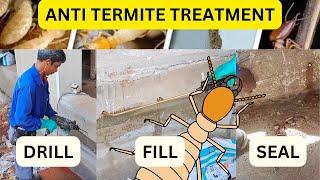 Anti Termite Treatment Everything You Need to Know