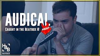 AUDICAL   Caught in the Beatbox at HeAt’s