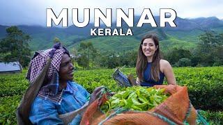 Munnar Suryanelli Kerala in the Monsoon The best vlog Ive ever made  #WeekendTrips India