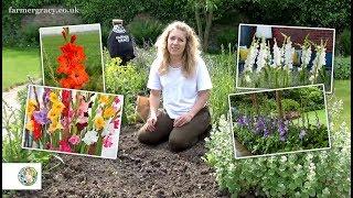 How to plant Gladiolus bulbscorms - FarmerGracy.co.uk