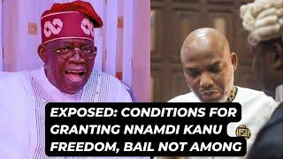 EXPOSED Conditions For Granting Nnamdi Kanu Freedom Bail Not Among