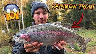 HOW TO FISH FOR RAINBOW TROUT + HELPING A FARMER  Team Galant