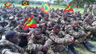 ODUU Afaan Oromo Hatattaaman Amma Nu Gahe June 29 2024