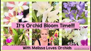 Which orchids are in bloom?? Let me give you a tour July 2024 SUMMER