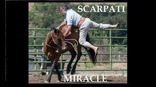 Amazing Old Horseman starting an 8 years old wild Mustang - Scarpati Horsemanship