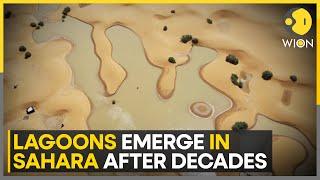 Rare-Flooding Hits Drought Hit Sahara Dessert Creating Lagoons Amid The Sand Dunes  WION