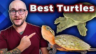 The BEST Pet Turtles You Probably Never Thought About