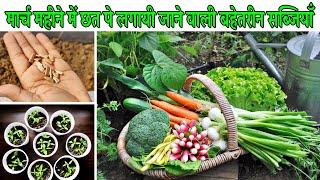 मार्च महीने में घर पे लगायी जाने वाली बेहेतरीन सब्जियों की जानकारी  Vegetables To Grow In Summers