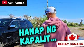 DAMING NASIRA HANAP NG KAPALIT #buhaycanada #buhaycanada #canadavlogs