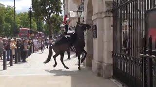 Royal Guard horse falls Queen Guard   London 2022  UK