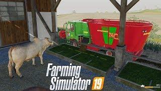 FS19  #19 Alimento Mezclado para Vacas