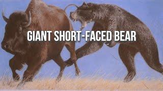 Arctodus The “Short-Faced Bear” is Misunderstood.