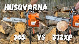 Husqvarna 365 vs Husqvarna 372XP