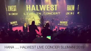 Halwest - Live Concert in Slemani 2019