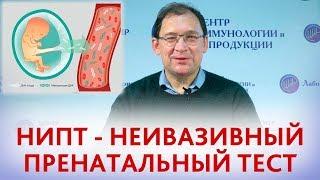 Неинвазивный пренатальный тест НИПТ. Что такое НИПТ и какие патологии выявляет НИПТ.