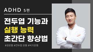 대뇌의 고차원적인 사고 감정행동조절을 담당하는 전두엽 기능을 높이는 초간단 운동법