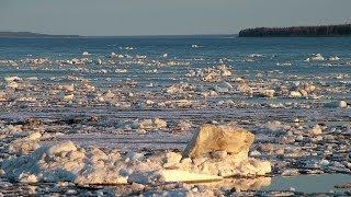 Счастливые люди  Енисей  Весна серия 1  Дмитрий Васюков