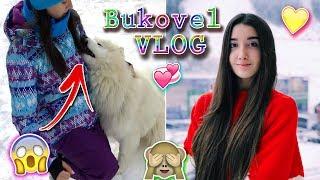 Собака откусила волосы? Bukovel VLOG️