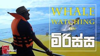 Travel With Chatura  මිරිස්ස  whale watching