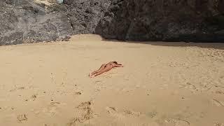 Papagayo Beach Lanzarote - a mermaid washes up