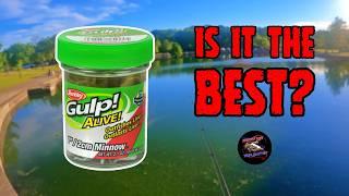 Are Gulp Minnows the Best Lure Ever?  Lures that Catch Everything