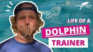 A Day in the Life of a Dolphin Trainer #18