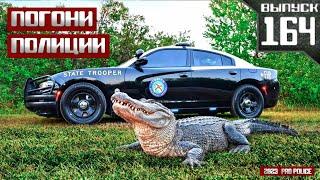 Погони полиции Florida Highway Patrol Выпуск 164 2024
