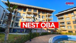 Nest Oba  Welcome to the Exquisite Urban Haven Nest Oba  Турция Аланья Оба