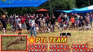 ⭐PTL TEAM Sukses Arungi Arena Sampai Menuju Puncak