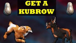 Warframe  How To Get A Kubrow  Warframe Beginners Guide