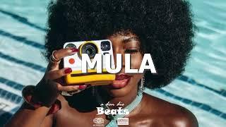 FREE Afro soul Guitar X Lofi x Afropop x Afrobeat Instrumental  MULA  Afrobeat Type Beat 2024