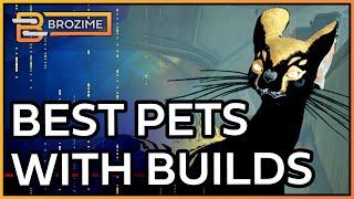 COMPANIONS 2.0 META & BEST BUILDS  Warframe