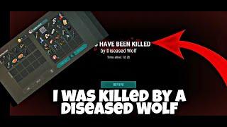 I was killed by a diseased wolf on the farm but instead I took the lootLDOE #Lastdayonearth