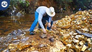 In Search of Gold From Jungle Streams to Refined Bars