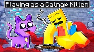 Playing as a CATNAP KITTEN in Minecraft