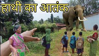 Wild  Elephant terror Jashpur   जशपुर में जंगली हाथी का आतंक    28 September 2024