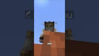 Minecraftta Kurbağaların HİÇ Bilinmeyen Hikayesi #shorts #minecraft #short #shortsvideo #tiktok