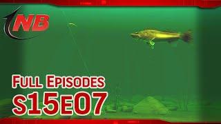 Drop Shot Walleyes  Season 15 Episode 7