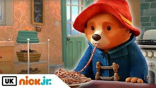 The Adventures of Paddington  Paddington And The Painting  Nick Jr. UK