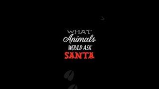 What do you think farmed animals would ask Santa for if they could?