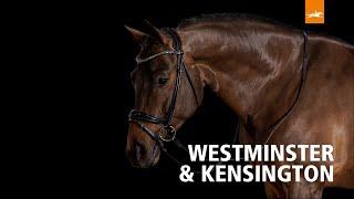 Schockemöhle Sports Trense Westminster und Kandare Kensington